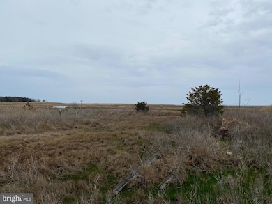 3434 Marsh Rd, Ewell, MD 21824 - photo 3