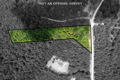 0 Topside Dr Lot 50 unit 237306, Spencer, TN 38585 - photo 3