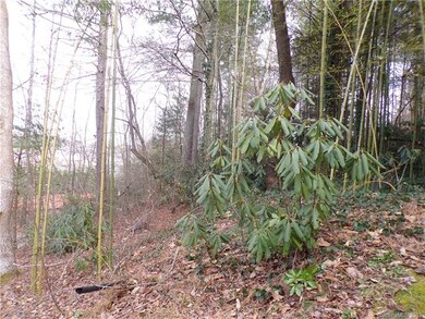 85 Elliott Ridge Ln, Hendersonville, NC 28792 - photo 4