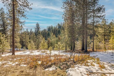 25815 N Perry Cir, Chattaroy, WA 99003 - photo 2