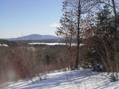 Lot 4 Oak Hill Rd, Springfield, NH 03284 - photo 2