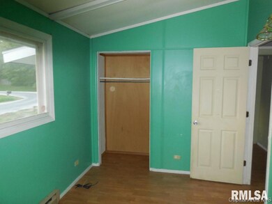 800 S Cottonwood St, Virginia, IL 62691 - photo 3