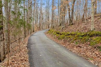 Wooded driveway up to home.