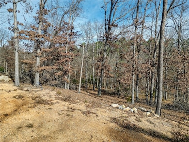 Lot 4 Winterberry Ln, Rogers, AR 72756 - photo 7