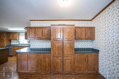 Kitchen extra counter tops and cabinets, including a double cabinet pantry, featuring a textured ceiling, sink, molding trim, and dark wood-type flooring