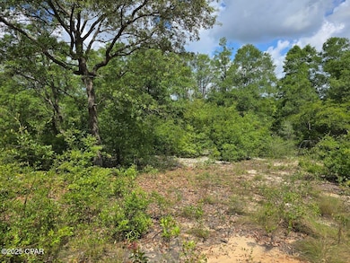 Lot 7 Caldwell Place, Chipley, FL 32428 - photo 6