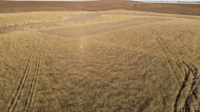 0 Tbd unit 25438668, Reeder, ND 58649 - photo 4