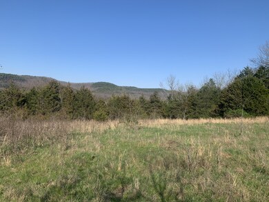 Tbd Scenic Valley, Shell Knob, MO 65747 - photo 3