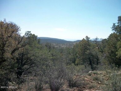 Photo 07