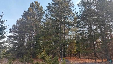 View of nature with a forest view