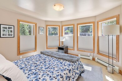 239 N Davis St, Telluride, CO 81435 - photo 5