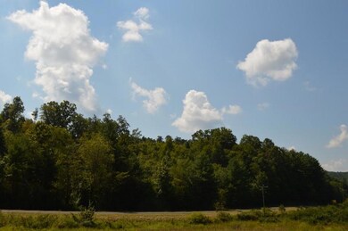 DSC_0308 (800x532)