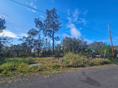 0 Coral Pkwy unit 724318, Ocean View, HI 96737 - photo 7