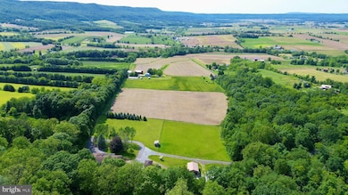 442 Old Henry Path Rd, New Enterprise, PA 16664 - photo 4