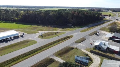 3000 Block Alabama 21, Atmore, AL 36502 - photo 5