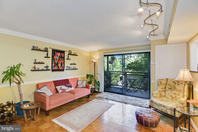 Takoma Phoenix unit 302, Takoma Park, MD 20912 - photo 5