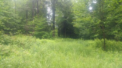 0 Chandler Rd, Northfield, VT 05663 - photo 5