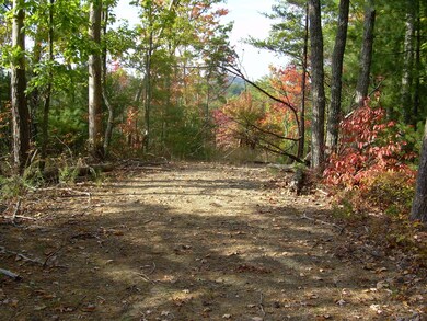 2225 Chilhowee Loop Road