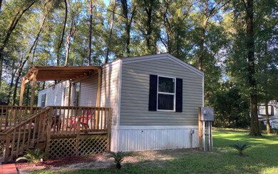 225 SW Nice Ct, Fort White, FL 32038 - photo 2