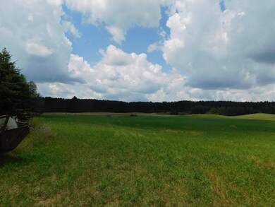 DSCN4535