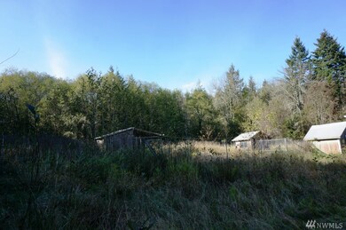 13417 94th St unit AI, Anderson Island, WA 98303 - photo 5
