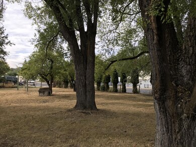 IMG_0231