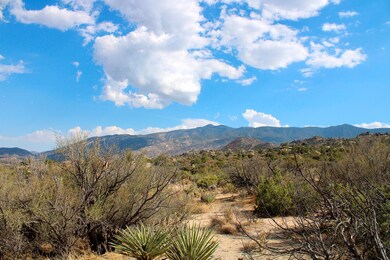Santa Rosas IMG_0457