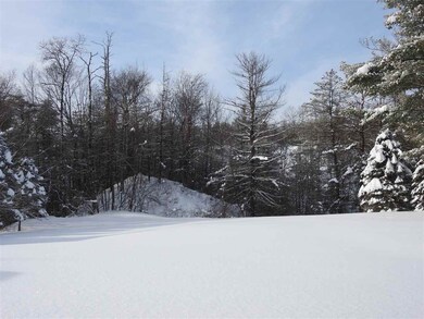 111 Brown Ln, Castleton, VT 05735 - photo 4