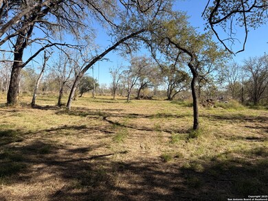 TBD Gidley Rd, Atascosa, TX 78002 - photo 2