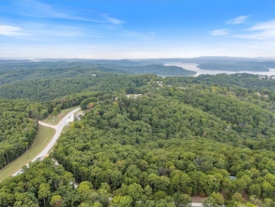 402-00001-000 TBD Highway 187, Busch, AR 72631 - photo 7