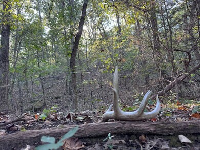 14299 Ns 3590 Rd, Seminole, OK 74868 - photo 7