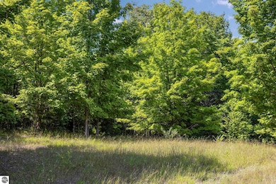 0 S Hill Rd, Cedar, MI 49621 - photo 5