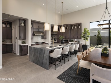 Merion_Grove_Desert_Sage_Kitchen_8768_co