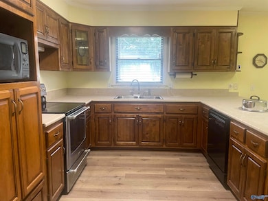 731 Alabama 36, Moulton, AL 35650 - photo 6