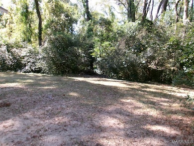 3 Pecan Cir, Selma, AL 36701 - photo 4