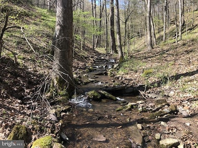 29 Ashton Woods Dr, Old Fields, WV 26836 - photo 2