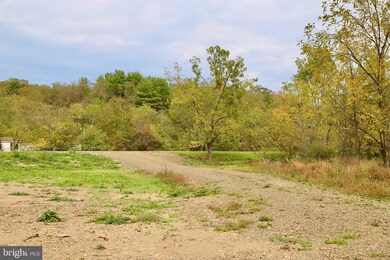 0 3 03 Ac Off Rt 259 Cove Mountain Rd unit WVHD2001754, Mathias, WV 26812 - photo 4