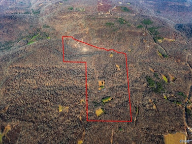 1011 County Road 303, Princeton, AL 35766 - photo 2