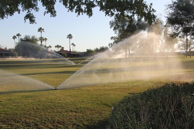 Looking toward green