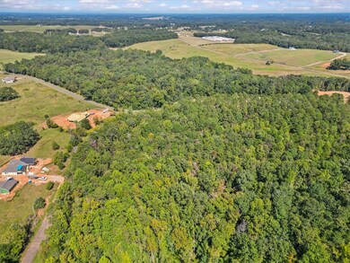 00 Andersonville Rd, Townville, SC 29689 - photo 6