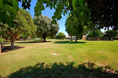 10101 W Highwood Ln, Sun City, AZ 85373 - photo 6