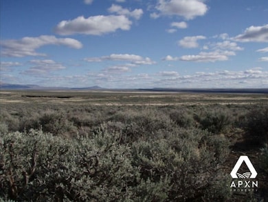 Fort Rock Rd, Silver Lake, OR 97638 - photo 6