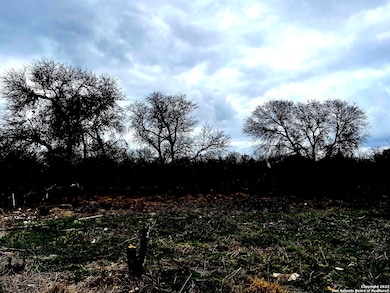 1223 Dupont, San Antonio, TX 78264 - photo 3