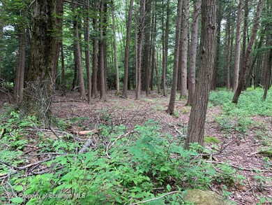 0 Moon Rd, Sterling Township, PA - photo 3