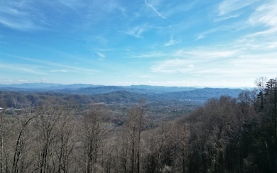 Additional View