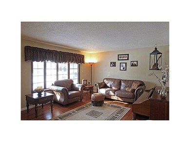 Living Room-L1.