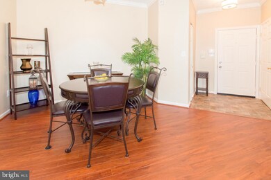 2404 Chestnut Terrace Ct unit 203, Odenton, MD 21113 - photo 6