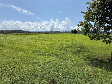 IMG_0586