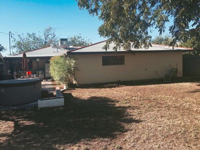 Back Yard space