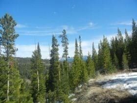 TBD Upper Den Court Lot 12, Gallatin Gateway, MT 59716 - photo 6